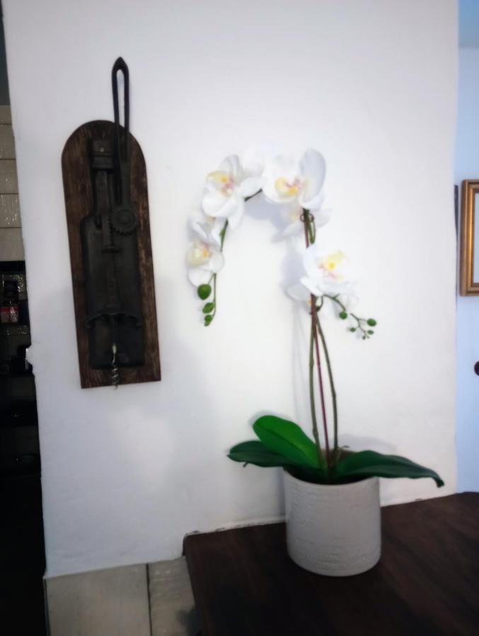 Casa Jaruf Centro Historico Parking Gratuito Patio Petfriendly Lejlighed Arcos de la Frontera Eksteriør billede